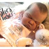 Reborn Baby ~ Starling ~ ADOPTED/SOLD