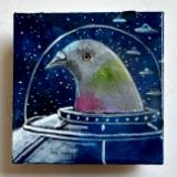 HOW PIGEONS GOT HERE