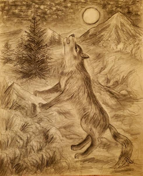The Wolf at Night