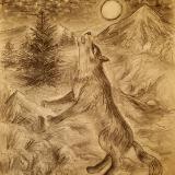 Cry Wolf