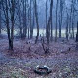 untitled (canon r50 thypoch 28mm f/1.4)