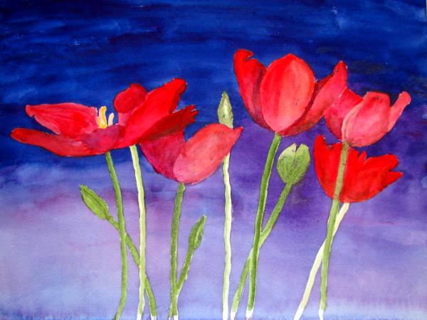 Poppies