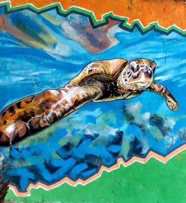 Lodge Mural - Green Turtle