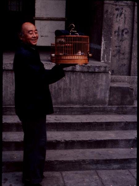 Chinese Bird Collector