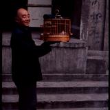 Chinese Bird Collector