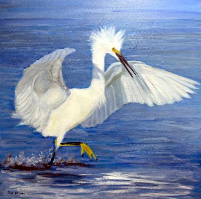 Snowy Egret in Water Snowy Egret in Water