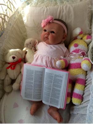 Show entry: Stella Rose (A.M) 11yrs