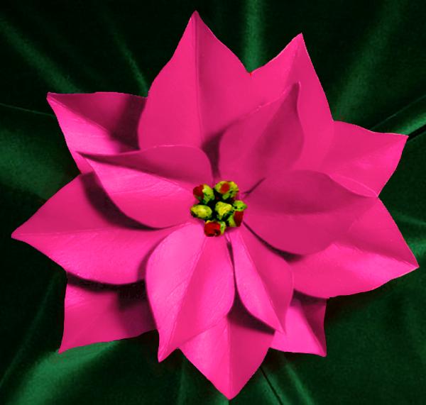 Pink Poinsettia Pin