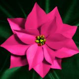 Pink Poinsettia Pin