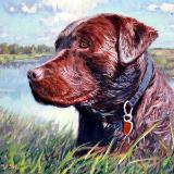 Max_after he swam in the river