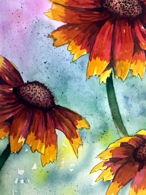 Blanket Flowers Blanket Flowers