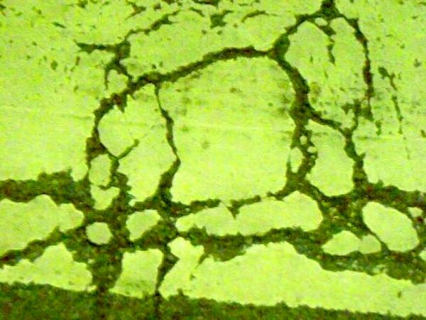 untitled 12