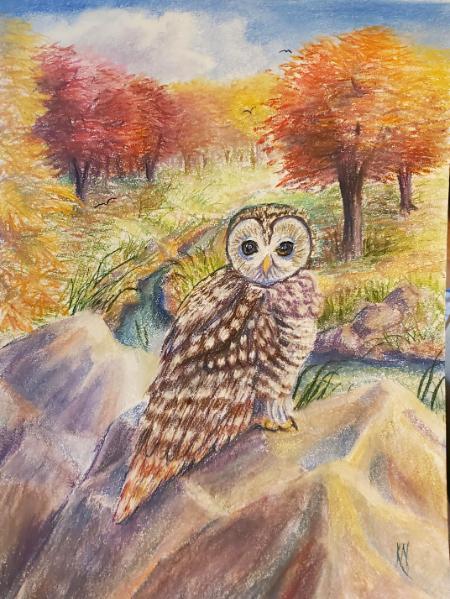 Spotted Owl in Autumn