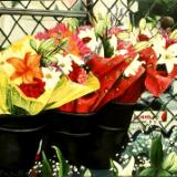 Bouquet of Flowers