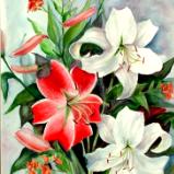 Lillies