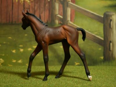 NEW! Custom Resin Foal ~ SUKI ~ SOLD