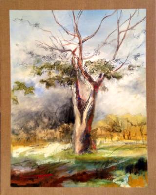 'Lone Tree 'Lone Tree