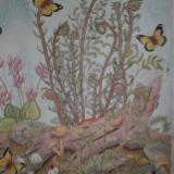 Nature  Study  - By student Sara 