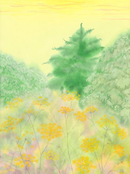 Midsummer Garden in the Heat