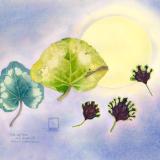 Little Leaf Moon