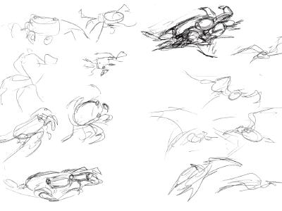 Galapagos sketches 1