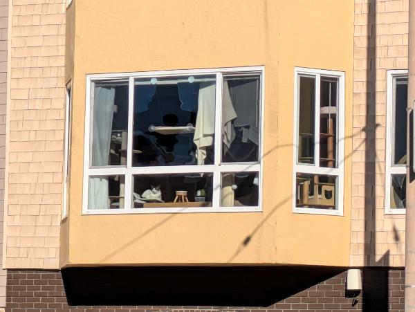SF - Cat in Window