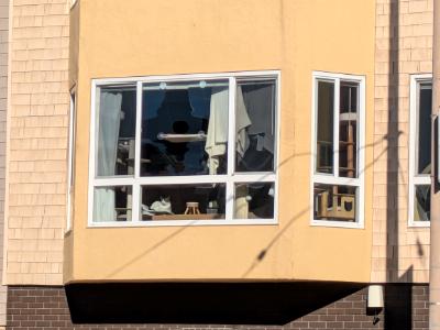 SF - Cat in Window