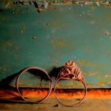 Gill Robinson Fine Artist and Illustrator Gill Robinson Fine Artist and Illustrator