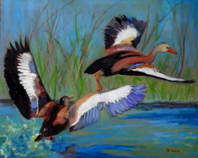 Black-bellied Whistling Ducks Black-bellied Whistling Ducks