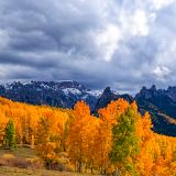High Mesa Aspen Grove Panorama (click for full width)