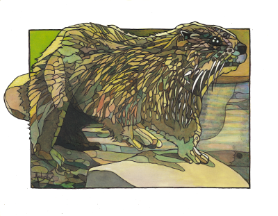 Otter Otter