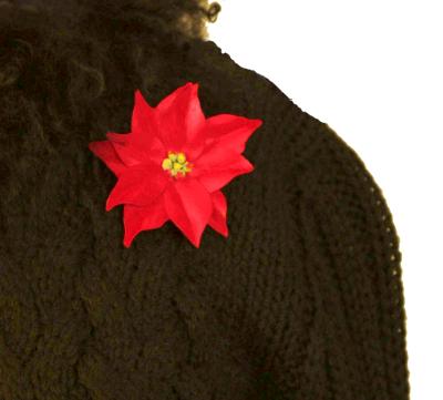 Poinsettia Pin on Black Sweater Poinsettia Pin on Black Sweater