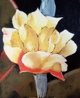 "Opuntia Bloom" "Opuntia Bloom"